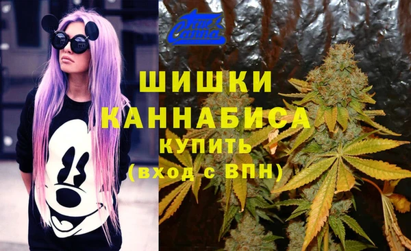 прущая мука Карпинск