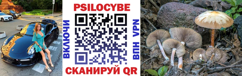 Галлюциногенные грибы GOLDEN TEACHER  Купить где  Олёкминск 